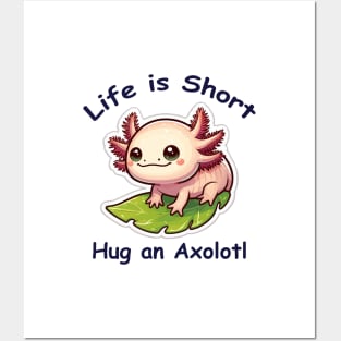 Cute Axolotl Posters and Art